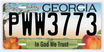 GA license plate PWW3773