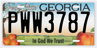 GA license plate PWW3787