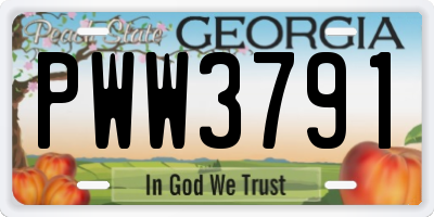 GA license plate PWW3791