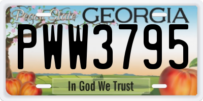 GA license plate PWW3795