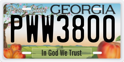 GA license plate PWW3800
