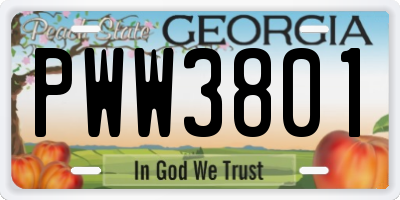 GA license plate PWW3801