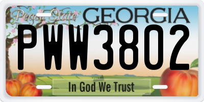 GA license plate PWW3802