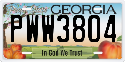 GA license plate PWW3804