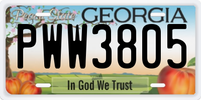 GA license plate PWW3805