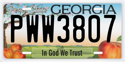 GA license plate PWW3807