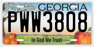 GA license plate PWW3808