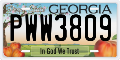 GA license plate PWW3809