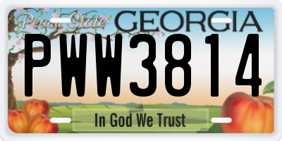 GA license plate PWW3814