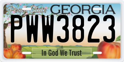 GA license plate PWW3823