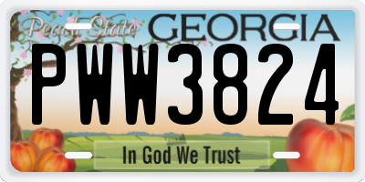GA license plate PWW3824