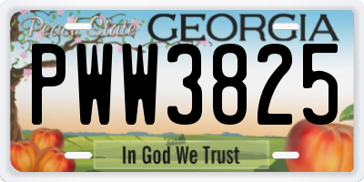 GA license plate PWW3825