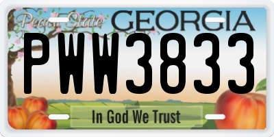 GA license plate PWW3833