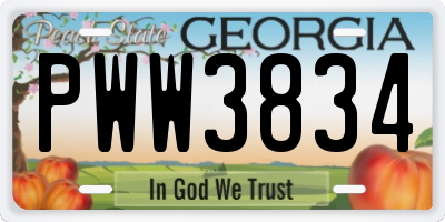 GA license plate PWW3834