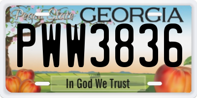 GA license plate PWW3836