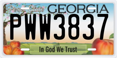 GA license plate PWW3837