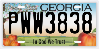 GA license plate PWW3838