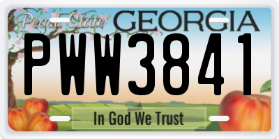 GA license plate PWW3841