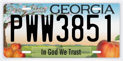 GA license plate PWW3851