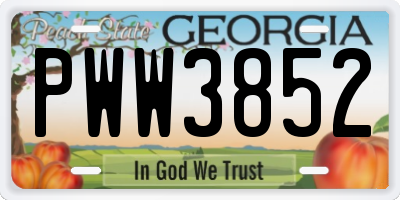 GA license plate PWW3852