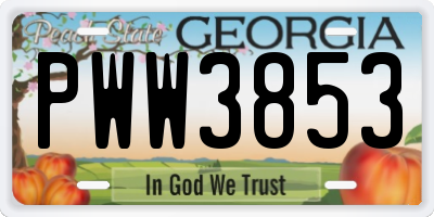 GA license plate PWW3853