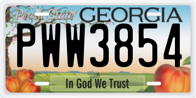 GA license plate PWW3854