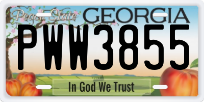GA license plate PWW3855
