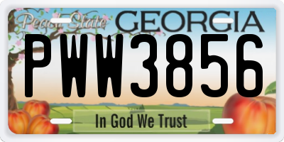 GA license plate PWW3856