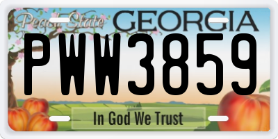 GA license plate PWW3859