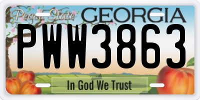 GA license plate PWW3863