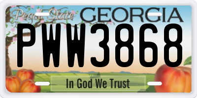 GA license plate PWW3868