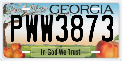 GA license plate PWW3873