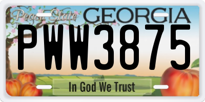 GA license plate PWW3875