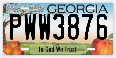 GA license plate PWW3876