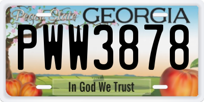 GA license plate PWW3878