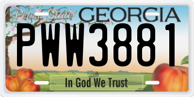 GA license plate PWW3881