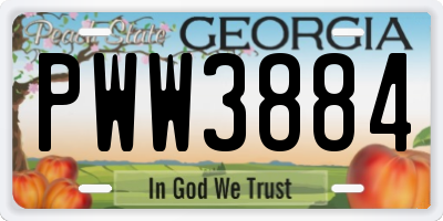 GA license plate PWW3884