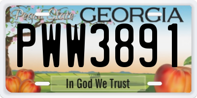 GA license plate PWW3891