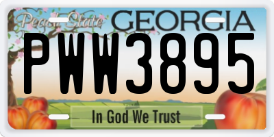 GA license plate PWW3895