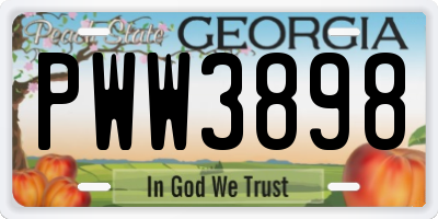 GA license plate PWW3898