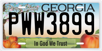 GA license plate PWW3899