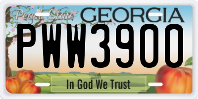 GA license plate PWW3900