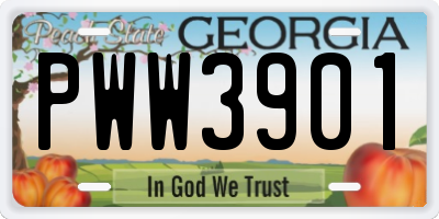 GA license plate PWW3901