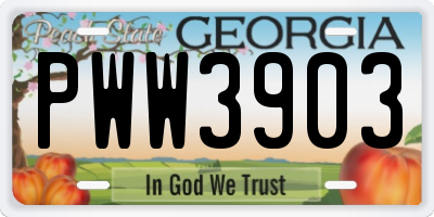 GA license plate PWW3903