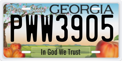 GA license plate PWW3905