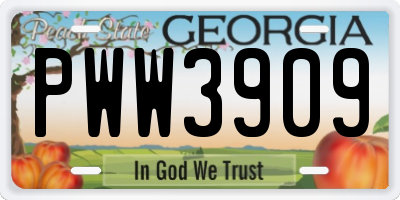 GA license plate PWW3909