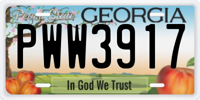 GA license plate PWW3917
