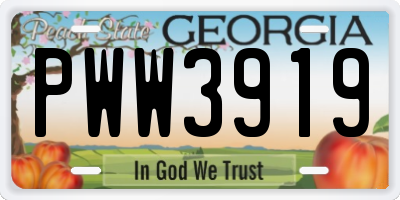 GA license plate PWW3919