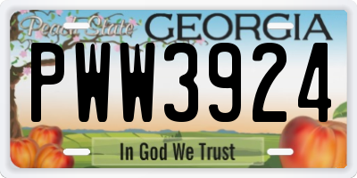 GA license plate PWW3924