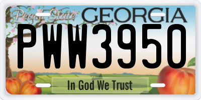 GA license plate PWW3950